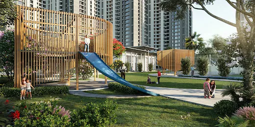 Palm Olympia Highlights